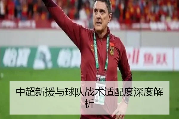 中超新援与球队战术适配度深度解析